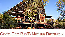Coco Eco B'n'B Nature Retreat